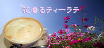 �J�i�_���C�����~���N�e�B�[�̍�����̌�