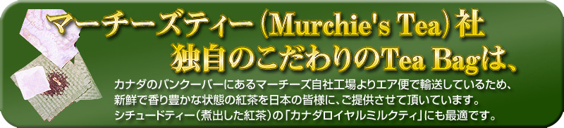 �J�i�_�̍g����̔�