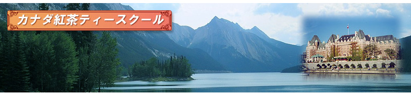 �J�i�_�g���e�B�[�X�N�[��